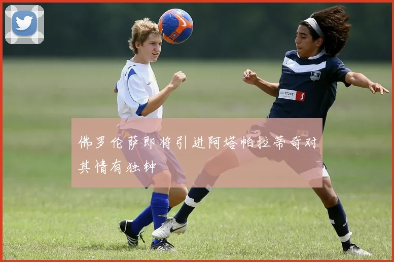 佛罗伦萨即将引进阿塔帕拉蒂奇对其情有独钟