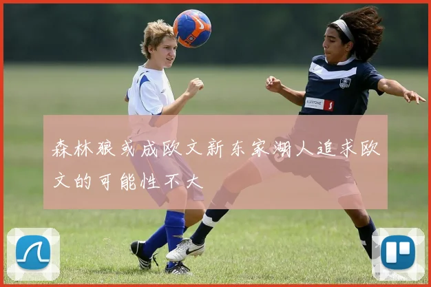 森林狼或成欧文新东家湖人追求欧文的可能性不大