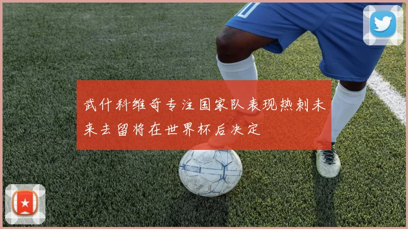 武什科维奇专注国家队表现热刺未来去留将在世界杯后决定
